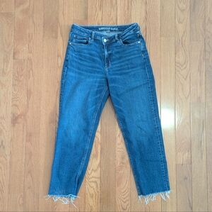 American Eagle Stretchy Mom Straight Jean Size 10